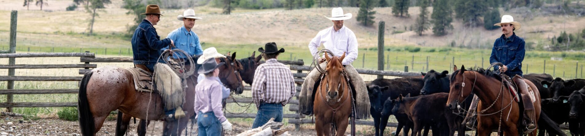 Ranch crew on horseback at a cattle branding