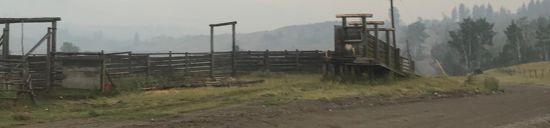 Fence designed for Cattle