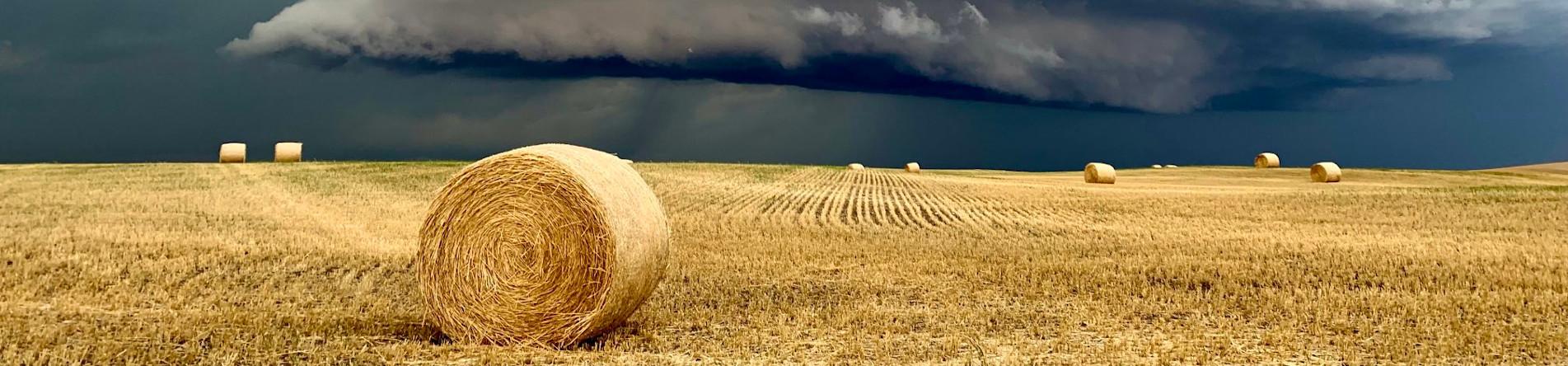 Hay Field with Storm on the horizon