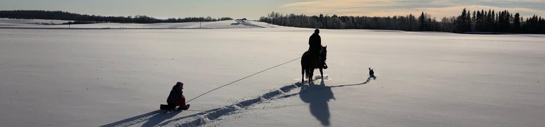 Winter Fun